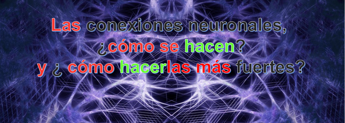 Lo  último en las conexiones neuronales.