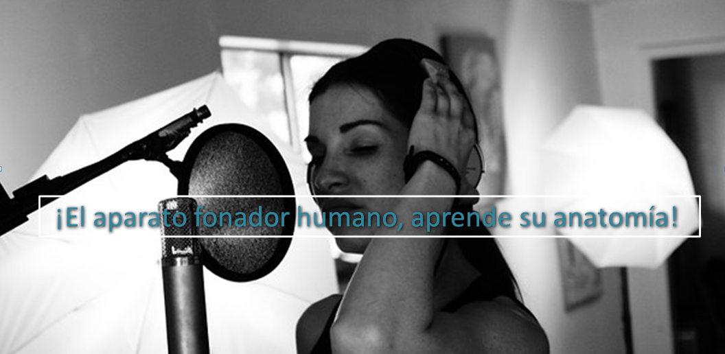 Resonador y Diafragma Humano