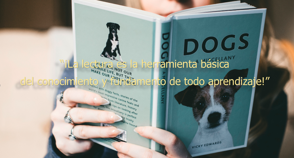 Youtube channel:  Tedx -talks