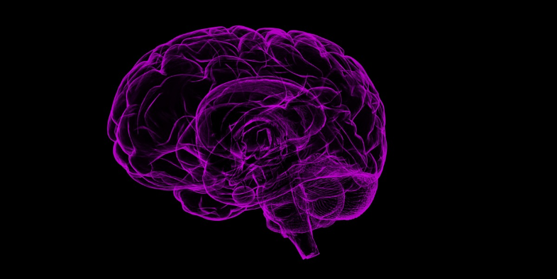 How fast does the brain recognize an image?