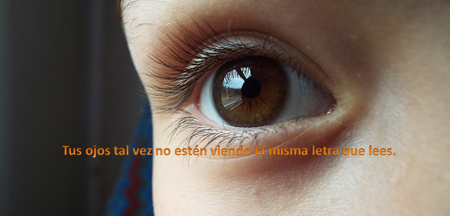 The binocular coordination of eye movements 